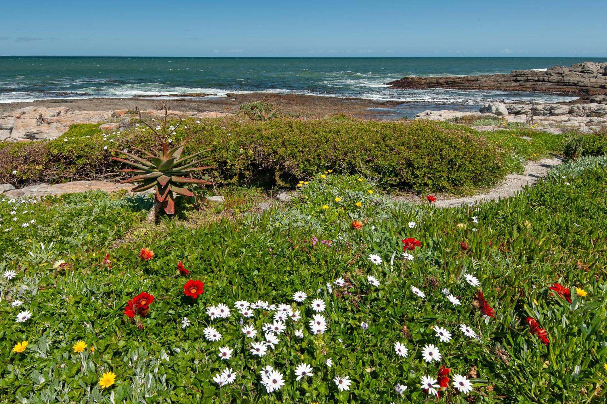Apartamento 63 Whalerock Estate Hermanus Exterior foto